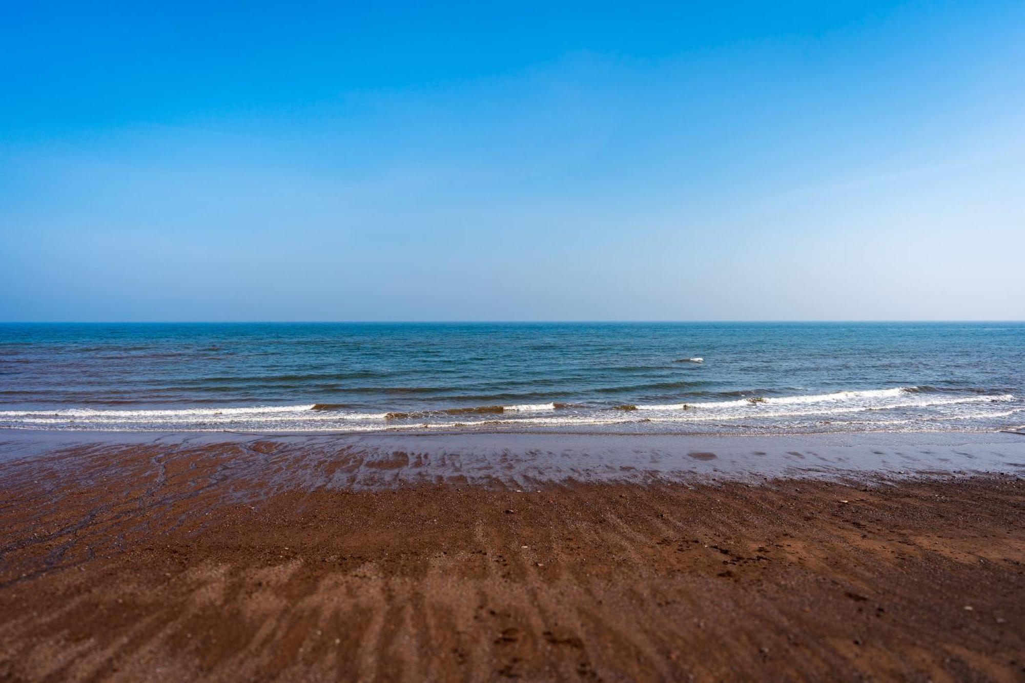 The Cottage - Characterful, Coastal Family Home With New Hot Tub Dawlish Dış mekan fotoğraf